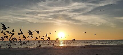 Sunset Vistas 209n - Latitude Adjustment