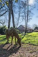 Aylesford-house-sleeps 2 & 1 Infant-parking-garden