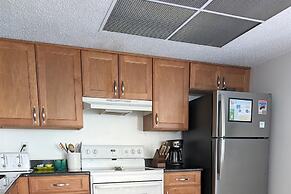 Sea Club #12 - The Dancing Dolphin