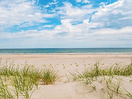Loony Dunes