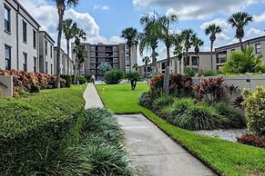 Sea Club #105 - Pelicans Perch