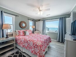 The Shark and the Seahorse