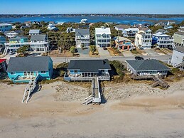 The Shark and the Seahorse