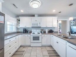 The Shark and the Seahorse