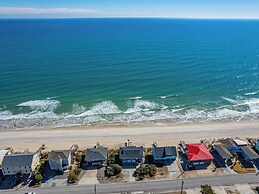 The Shark and the Seahorse