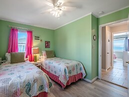 The Shark and the Seahorse