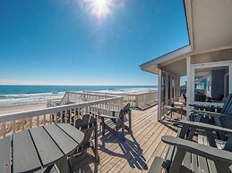 The Shark and the Seahorse