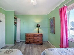 The Shark and the Seahorse