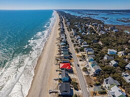 The Shark and the Seahorse