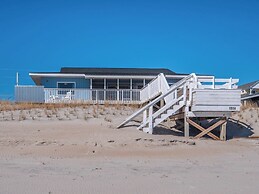 The Shark and the Seahorse