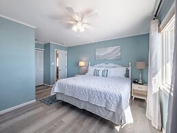 The Shark and the Seahorse