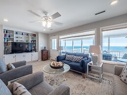 The Shark and the Seahorse