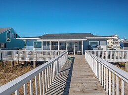 The Shark and the Seahorse