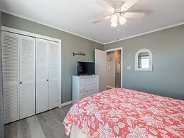 The Shark and the Seahorse