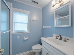 The Shark and the Seahorse