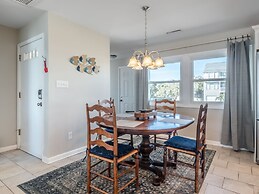 The Shark and the Seahorse