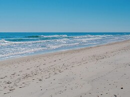 The Shark and the Seahorse