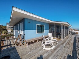 The Shark and the Seahorse