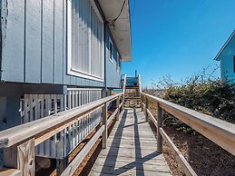 The Shark and the Seahorse