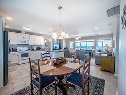 The Shark and the Seahorse