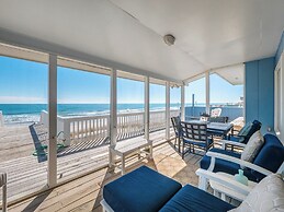 The Shark and the Seahorse