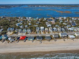 The Shark and the Seahorse