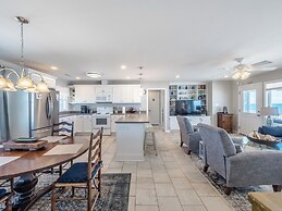 The Shark and the Seahorse