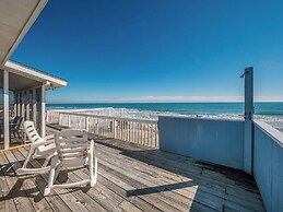 The Shark and the Seahorse