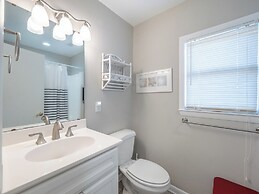 The Shark and the Seahorse