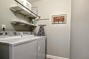 Sea Club #25 - Dolphin's Watch