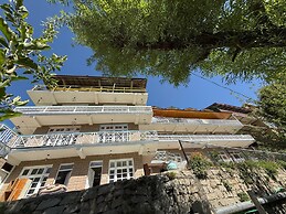 Hotel The Premium Villa Old Manali View