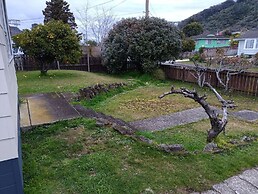 1 Double 1 Sofa Beds Garden Chalet B
