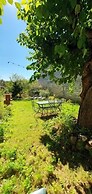 Domaine le Clos des Capitelles