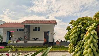 Banana Tree Retreat