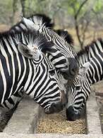 Singwe Private Safari lodge