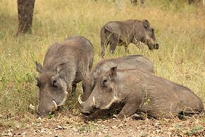 Singwe Private Safari lodge