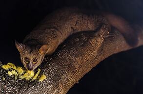 Singwe Private Safari lodge