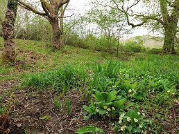 Oak Shepherd Hut