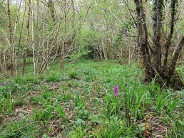 Oak Shepherd Hut