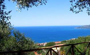 AGRITURISMO  LA FOCAZZA