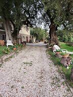 AGRITURISMO  LA FOCAZZA