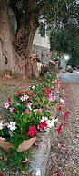 AGRITURISMO  LA FOCAZZA