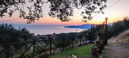 AGRITURISMO  LA FOCAZZA