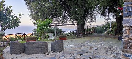 AGRITURISMO  LA FOCAZZA