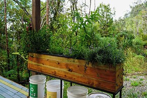 Oceana Suites Eco Lodge Lophosoria