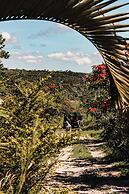 Pousada Sitio da Felicidade