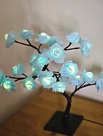 Country View Apartment