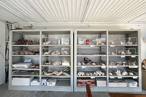 Saga Village Hotel & Resort Bintan