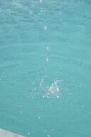 WINNERS HILL RESORTS