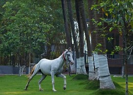 WINNERS HILL RESORTS